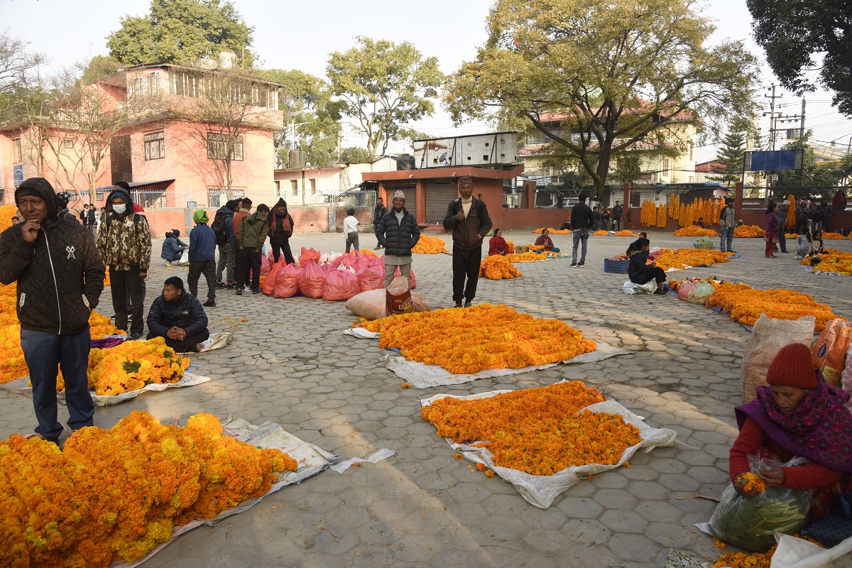 काठमाडौं महानगरले तोक्यो फूल बेच्‍न ४६ स्थान